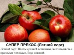 супер прекос.jpg