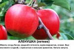 Аленушка