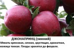 Джонапринц